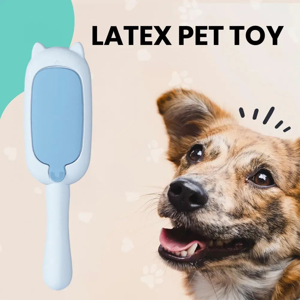 Pet Hair Removal Brush