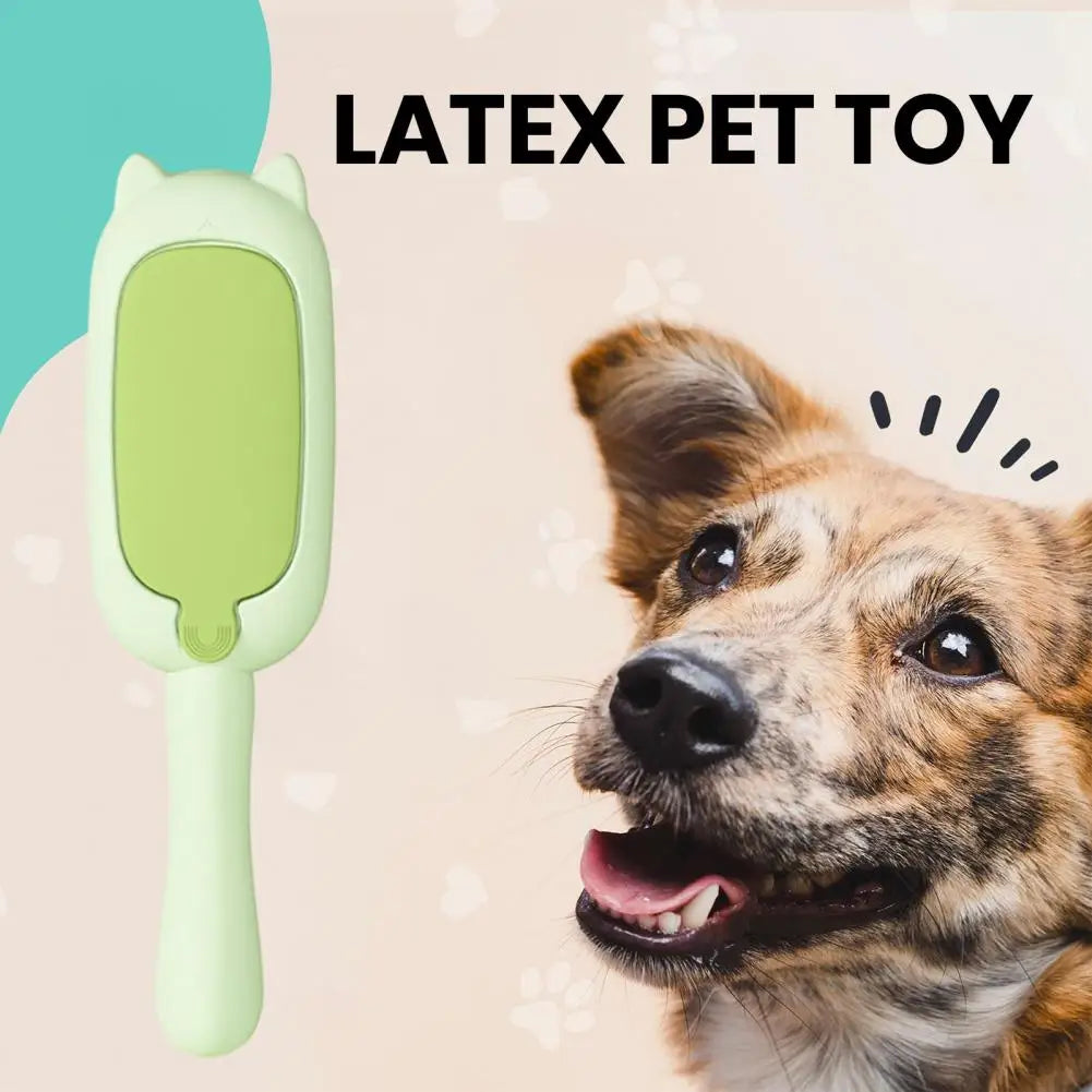 Pet Hair Removal Brush